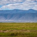 TZA ARU Ngorongoro 2016DEC26 Crater 020 : 2016, 2016 - African Adventures, Africa, Arusha, Crater, Date, December, Eastern, Mandusi Hippo Pool, Month, Ngorongoro, Places, Tanzania, Trips, Year